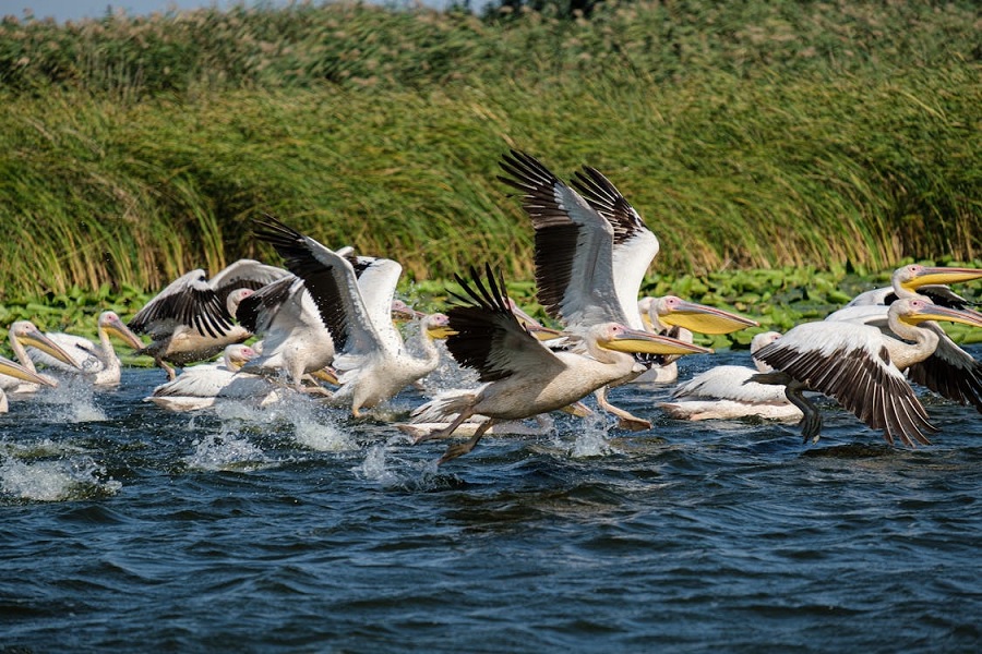 Ecotourism: Exploring the World While Protecting It